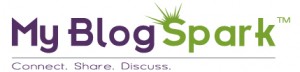 My Blog Spark Logo My Blog Spark Logo