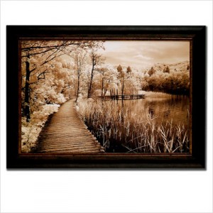 Accent Direct Framed Print