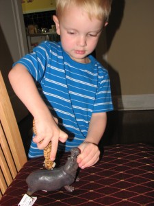 August 25 2009 002