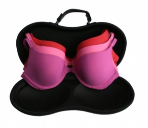 Brag Co Bra Bag Interior