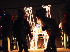December 1 2009 054