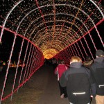 Lights 1 Lights 1