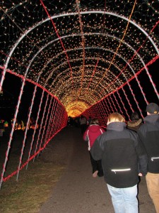 Lights 1 Lights 1