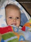 Wordless Wednesday ~ All Cozy in the Blankets