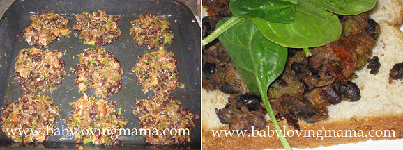 organically raised collection 3 organically raised collection 3