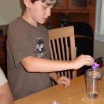 Kool Aid Fun Fizz Nathan