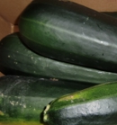 Monster Zucchini 1 thumb