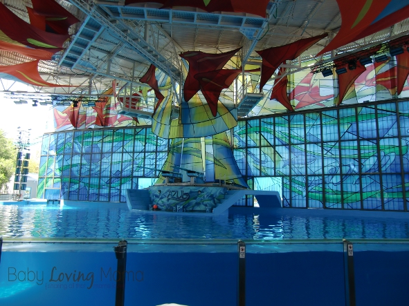 San Antonio Sea World 1