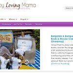 BLM New Blog Screenshot