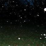 First Snow 2 First Snow 2