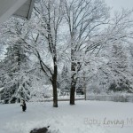 Winter Wonderland