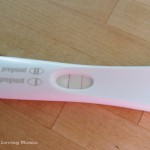 emilies pregnant