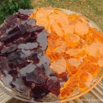 Halloween Jello Knox Gelatin Shapes 1 Halloween Jello Knox Gelatin Shapes 1