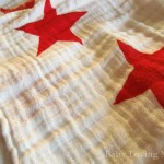 Aden Anais Radiant Red Single Swaddle