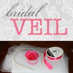 JW_BridalVeil_3