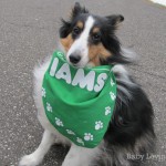 Iams
