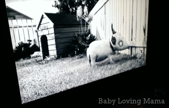 frankenweenie with ball